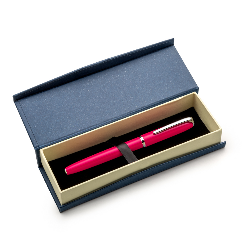 Fountain Pen-Iridium Fine Nib Writing Pen Set, Fancy Pen Gift Set for  Calligraphy Writing,with Converter,Smooth Writing (Pink)